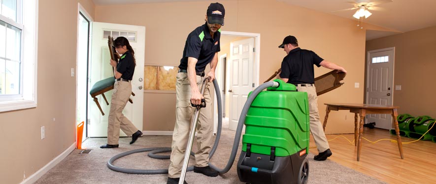 Whitley Heights, CA cleaning services